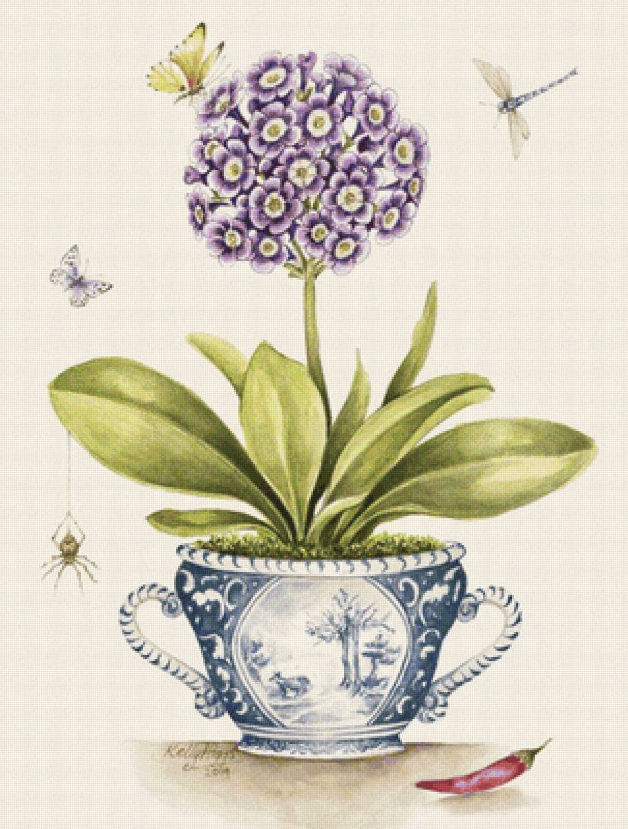 el chile - bodegon - предпросмотр