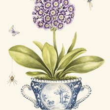 Схема вышивки «el chile»