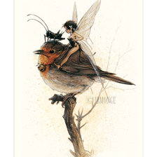 Схема вышивки «фея с птицей»