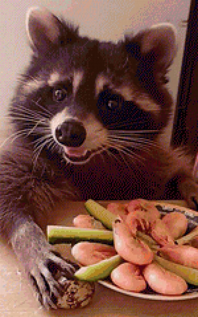 Енот Марк - предпросмотр