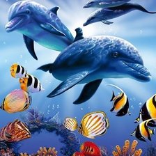 Схема вышивки «Dolphins in Light»