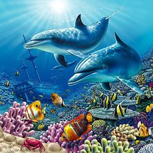 Dolphins Under the Sea