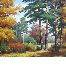 Схема вышивки «357х266»