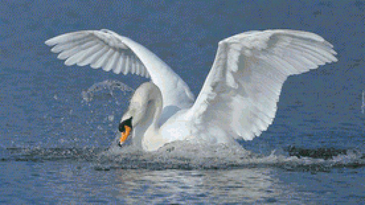 DMC 50 цветов - предпросмотр