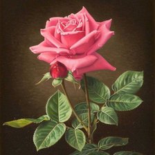 Схема вышивки «Роза»
