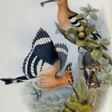 Схема вышивки «DOS»