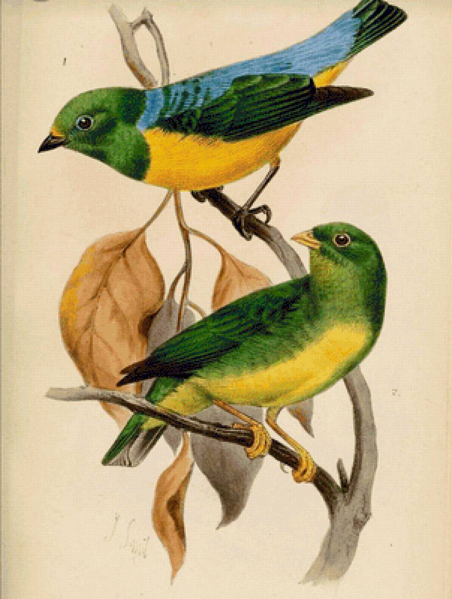 Verdes - paisaje - предпросмотр