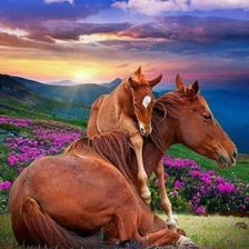 Mother Horse and Foal