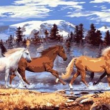 Wild Horses