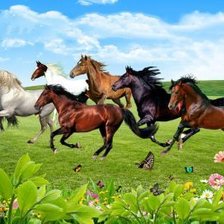 Running Horses