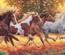 Running Horses