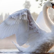 Схема вышивки «Бленды+, перемешивание 50% ПНК Кирова 50 цветов»