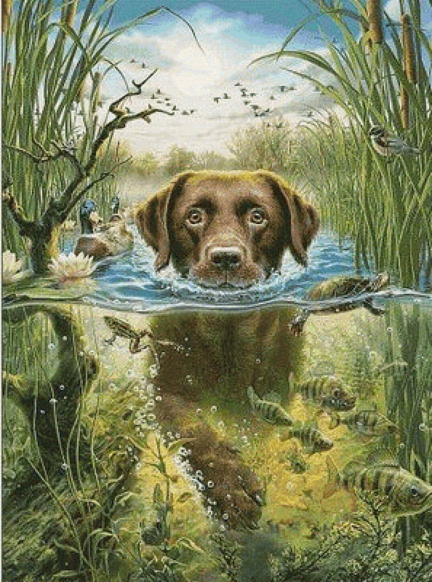 nadador 2 - feliz - предпросмотр