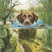 Схема вышивки «nadador 2»