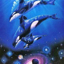 Схема вышивки «№2275562»