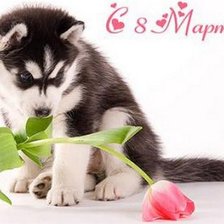 Схема вышивки «С 8 марта.»