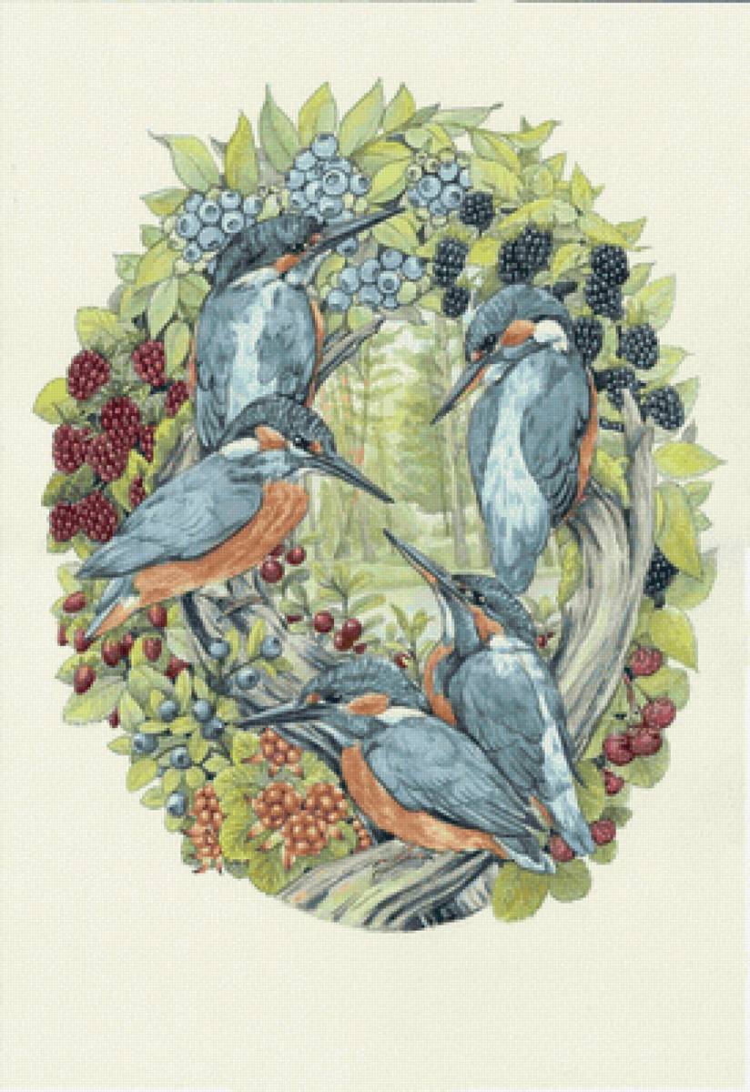 Зимородки. Художник Анастасия Стародумова - птицы, животные, художник - предпросмотр