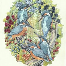 Схема вышивки «Зимородки. Художник Анастасия Стародумова»