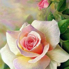 Схема вышивки «Роза»