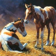 Схема вышивки «пегие малыши»