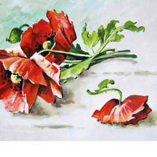 Схема вышивки «Маки.»