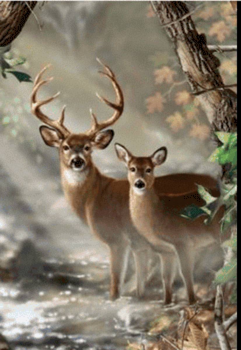 Cervol - animal - предпросмотр