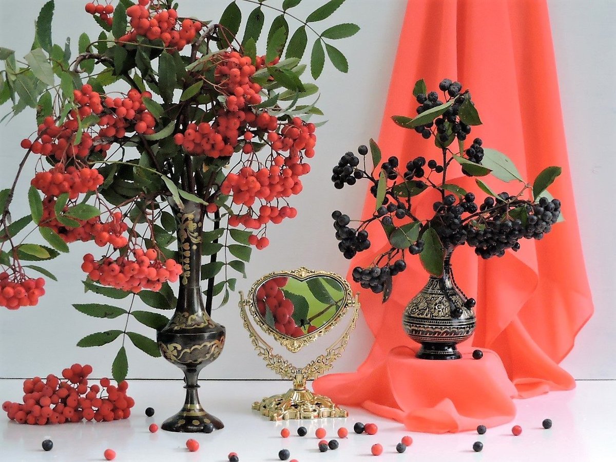 рябины - ягода, рябина - оригинал