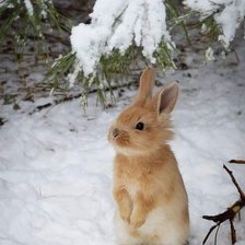Схема вышивки «зайчишка зимой»