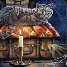 Схема вышивки «Gato.»