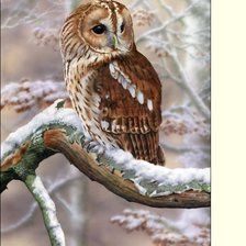 Схема вышивки «№2277458»