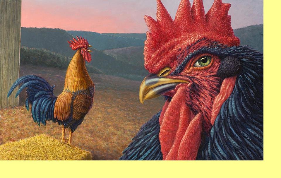 №2277463 - птицы, петух, домашние животные, животные - оригинал