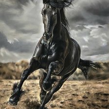 Схема вышивки «Вороной»