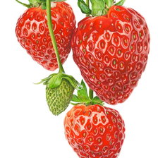 Схема вышивки «Клубничка»