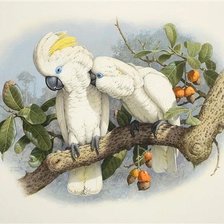 Поговори со мной