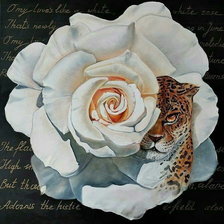 Схема вышивки «Взгляд розы»