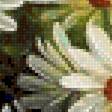 Предпросмотр схемы вышивки «Ромашки» (№2277990)