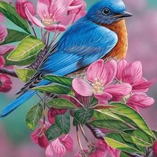 Схема вышивки «Птички»