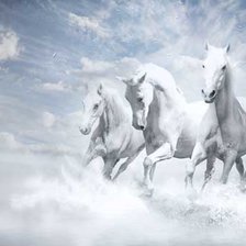 Схема вышивки «В облаках»