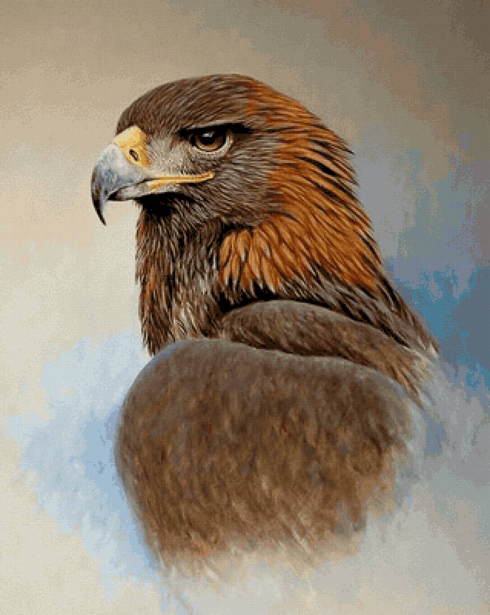 Орел - орел - предпросмотр