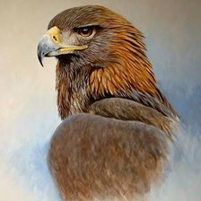 Схема вышивки «Орел»