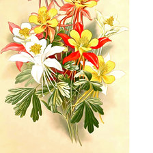 Схема вышивки «Серия "Цветы".»