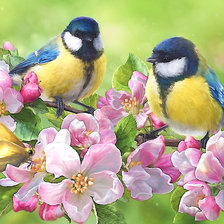 Схема вышивки «Синички»