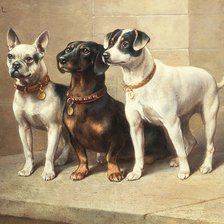 Схема вышивки «Медалисты»