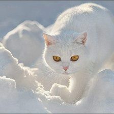 Схема вышивки «Шагаю по сугробам»