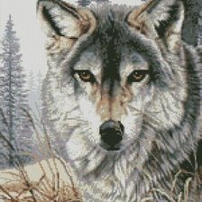 Схема вышивки «lobo»