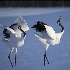 Схема вышивки «Журавли»