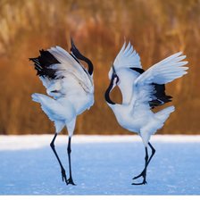 Схема вышивки «Журавли»