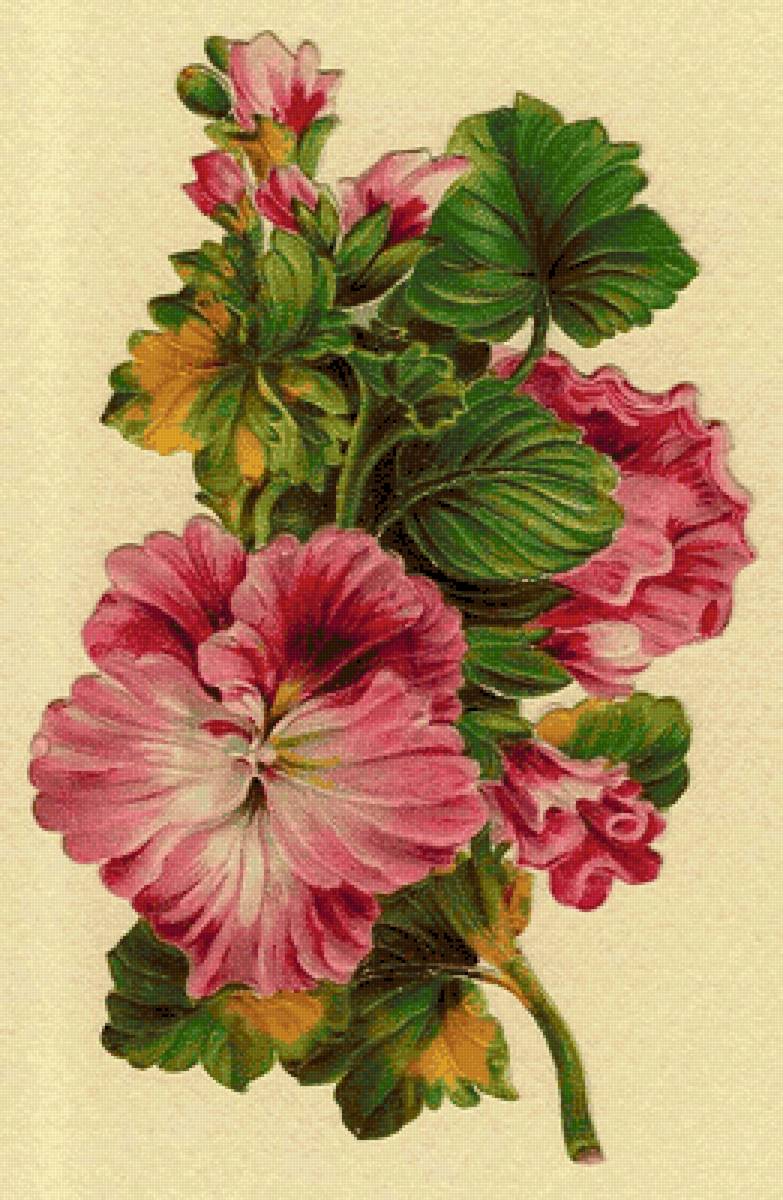 Цветы - предпросмотр