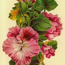 Схема вышивки «Цветы»