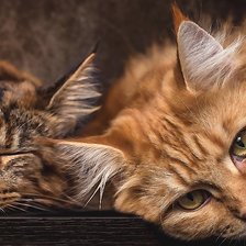 Схема вышивки «№2279652»